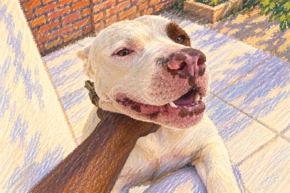 Pastel illustration of a hand scratching a white and brown dog beneath his chin.